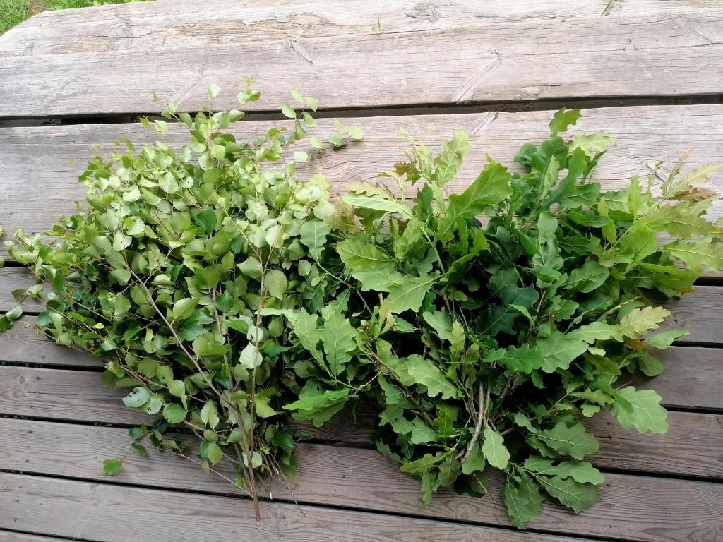 Zahrada ubytování Tirtsu puhkemaja