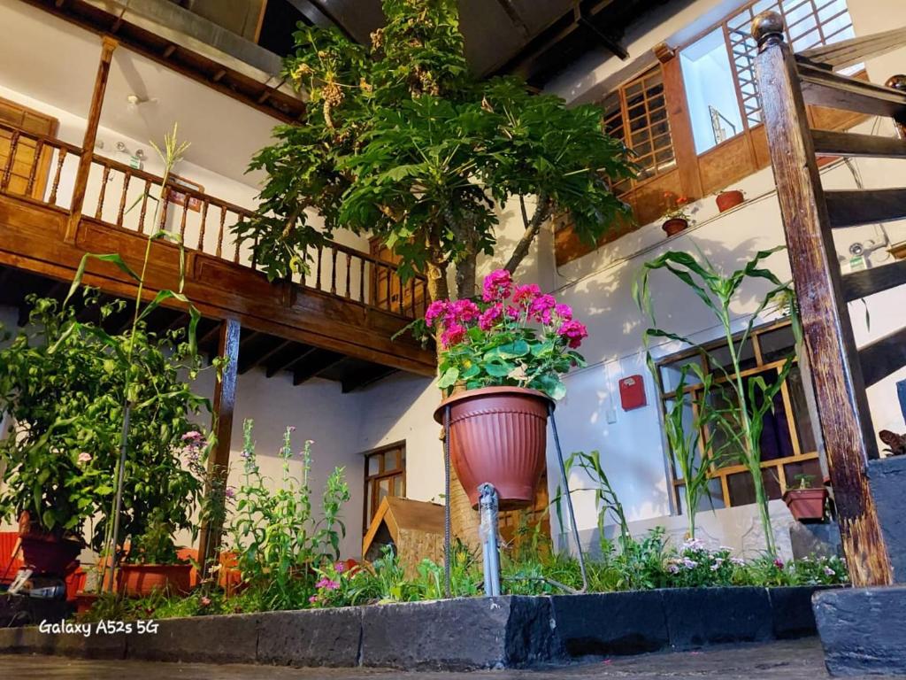 a large pot of flowers on the side of a building at Cusco el Conquistador in Cusco