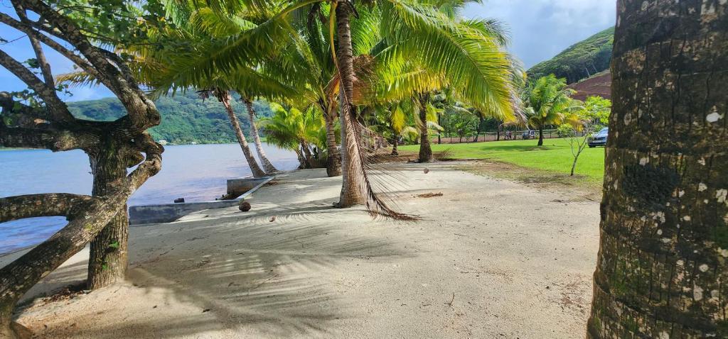 una spiaggia con palme accanto a un bacino d'acqua di Fare Mama Rota - au bord de l'océan a Taputapuapea