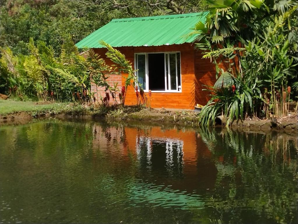 a house with a green roof next to a body of water at sapiens house cabaña del lago premium in Cali