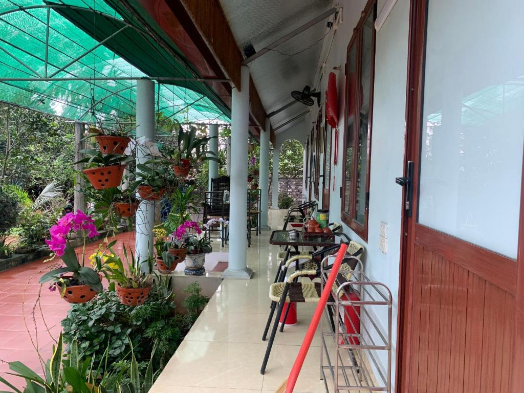 Tre Xanh Homestay - 10