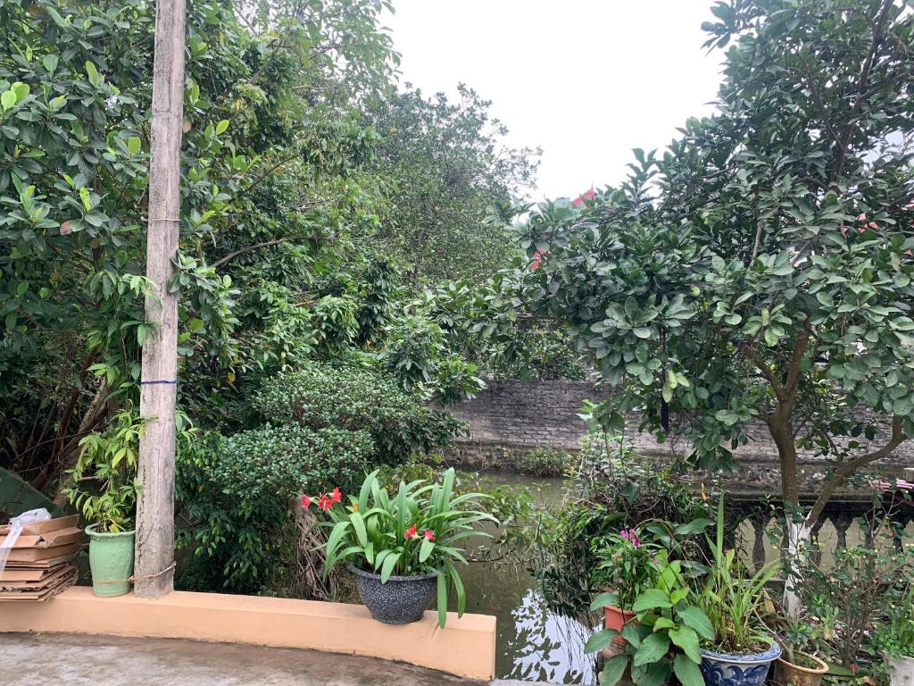 Tre Xanh Homestay - 11