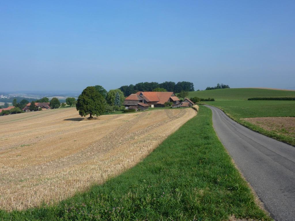 Příroda nedaleko bed and breakfast