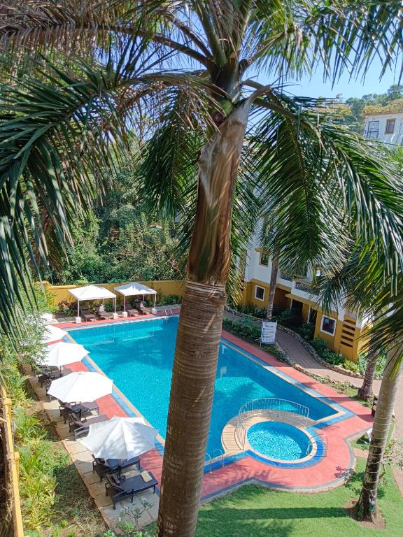 Bazén v ubytování Goa Villagio Resort & Spa - A Unit of IHM, 10 Min Walk from Beach nebo v jeho okolí
