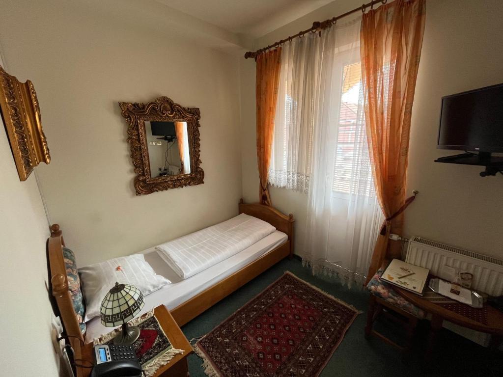 TV a/nebo společenská místnost v ubytování Hotel Razgorsek