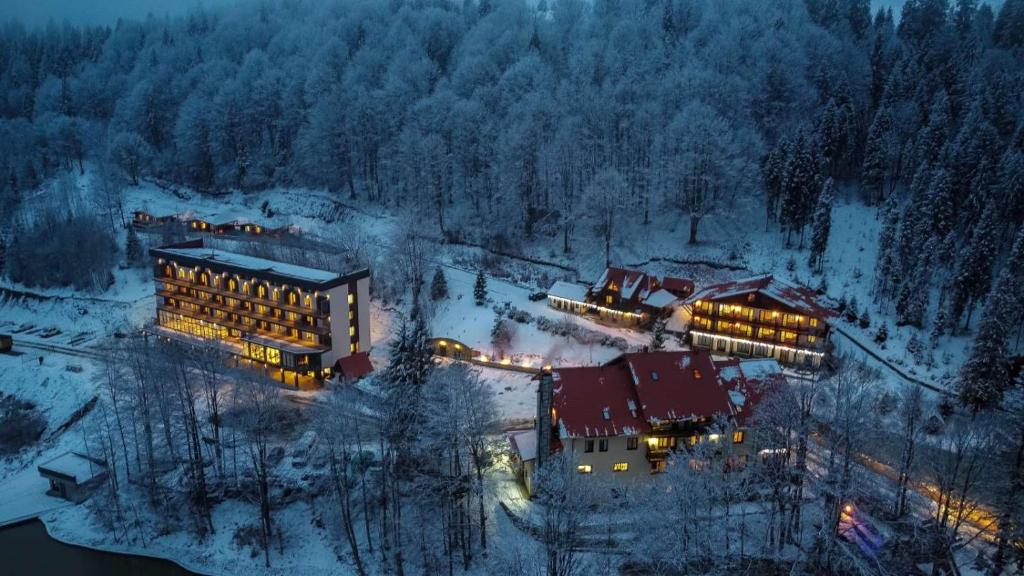 Nizhniy Studenyy的住宿－澤羅維塔山林小屋，雪中建筑物的空中景观