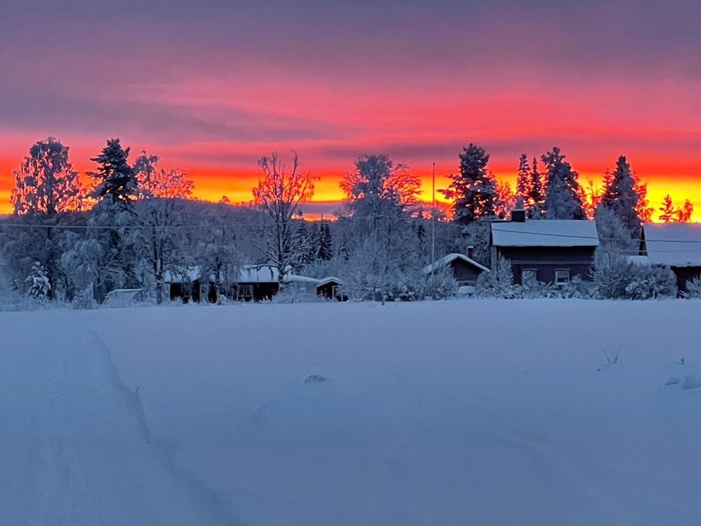 Go out stay wild, Norsjö – Updated 2024 Prices