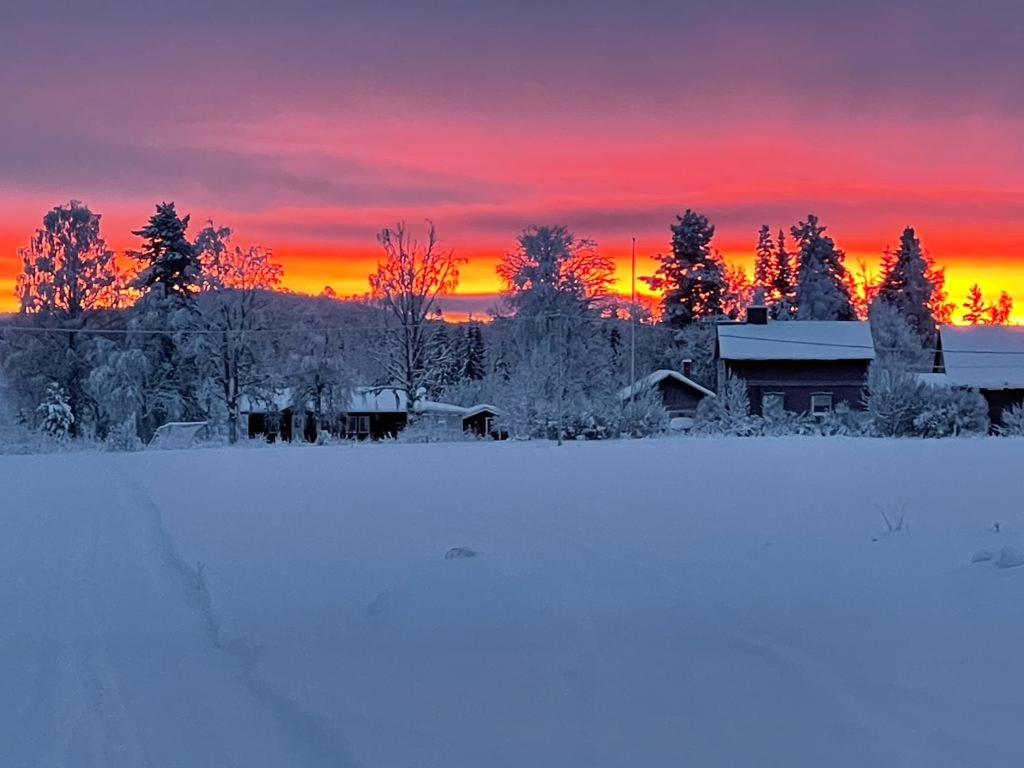 a winter sunset with a house in the snow at Go out stay wild in Norsjö