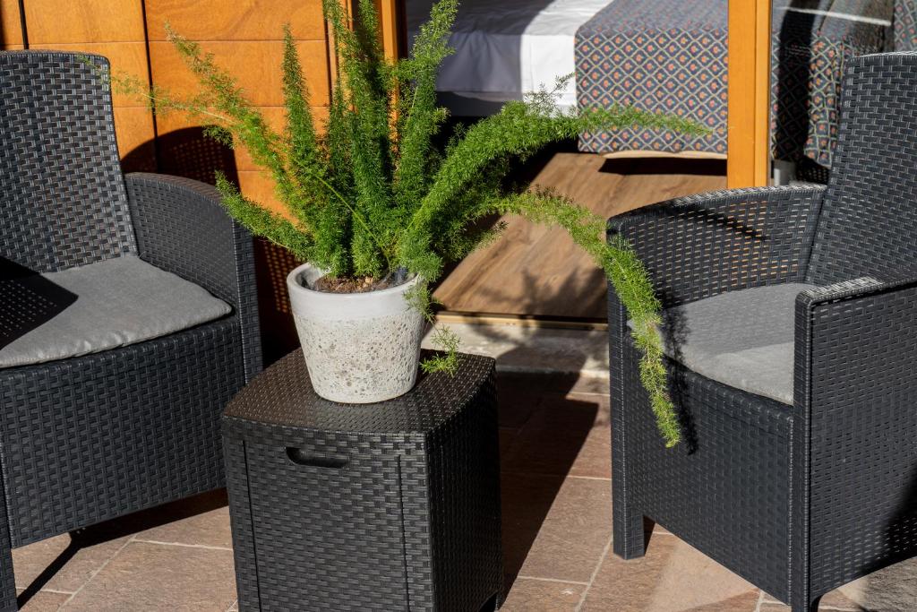 Hotel Canova Sport & Relax - Quarto Duplo Ou Twin Deluxe Com Vista Jardim