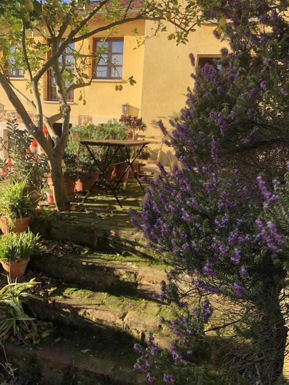 Zahrada ubytování Casa Rural Trebol4Hojas