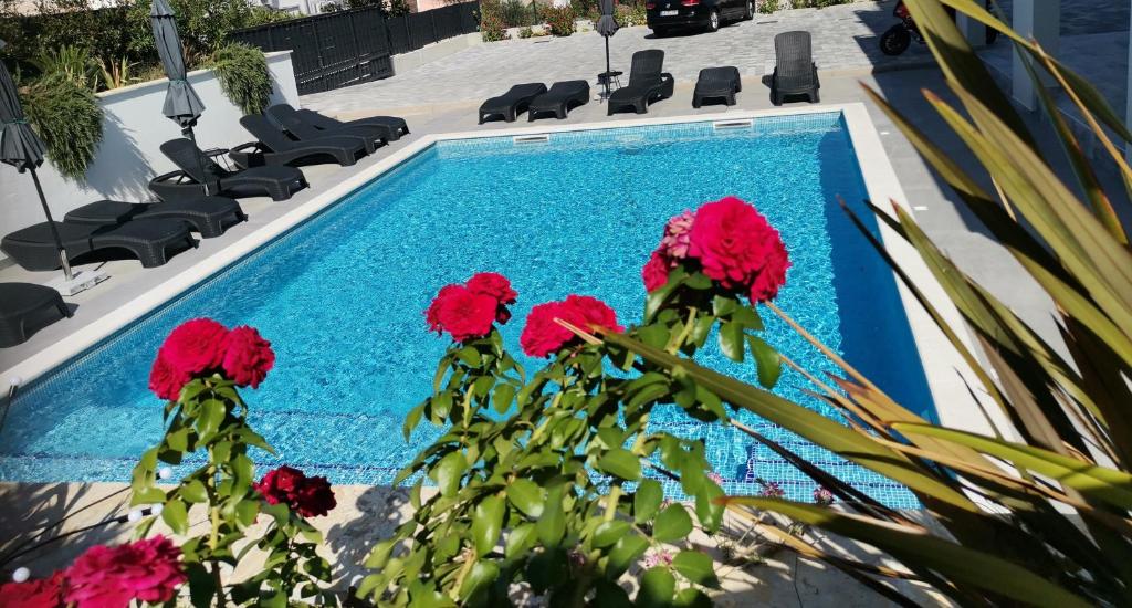 a swimming pool with red flowers in front of it at Villa Barbara & Zoran with heated swimming pool in Seget Vranjica
