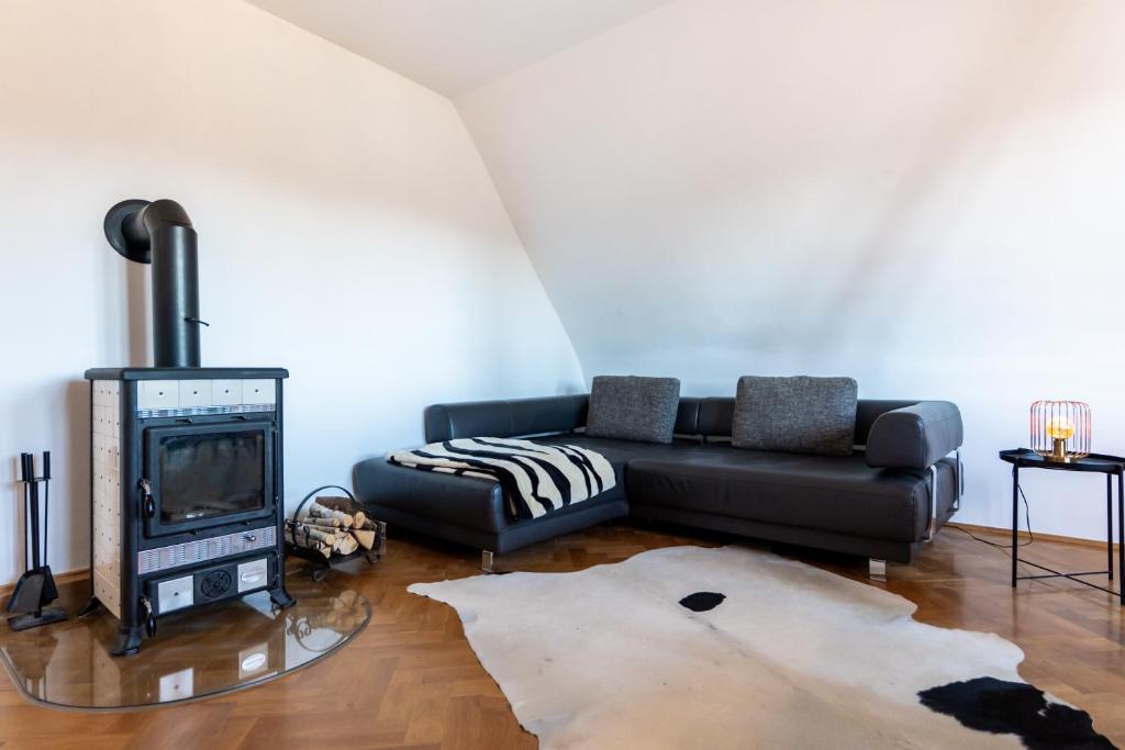 Зона вітальні в Doppelhaus- Villa Leipzig Schleußig , moderner Altbau Apartment Dachetage mit 2 Schlafzimmern und separatem Zusatzzimmer , Parkplatz - Balkon - Kamin - Eicheparkett - Arbeitsplatz