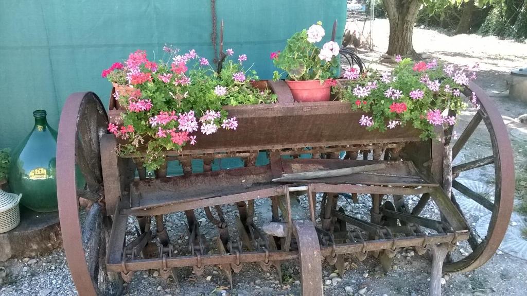 Zahrada ubytování Agriturismo La Cantina VIA CAMPIGLIONE DI ASSISI