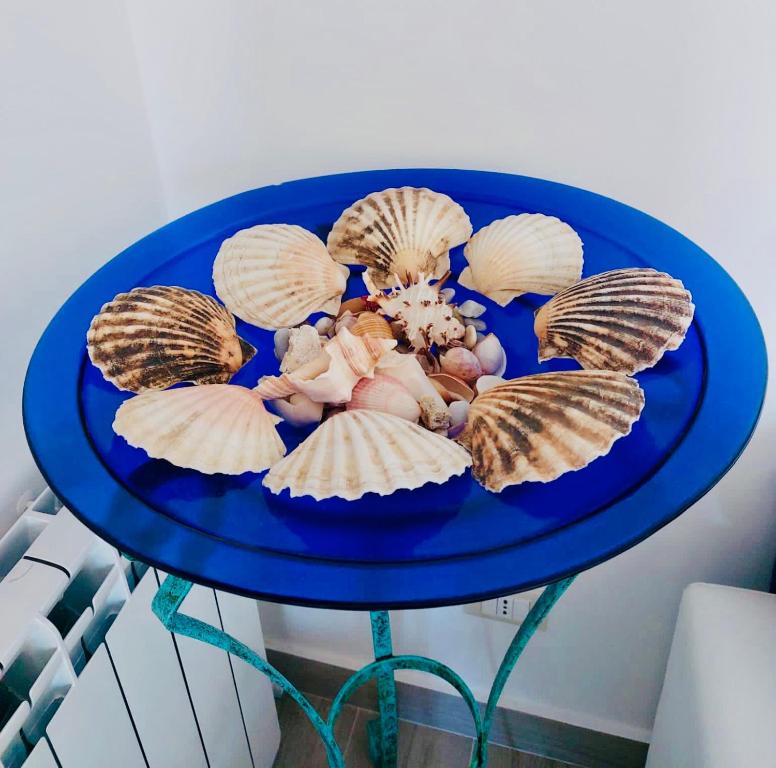 a blue table with some shells on it at VISTAMARE apartments Reggio Calabria in Reggio di Calabria