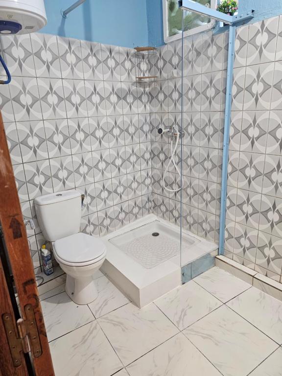 a bathroom with a toilet and a glass shower at LE COROSSOL APPART in Mamoudzou