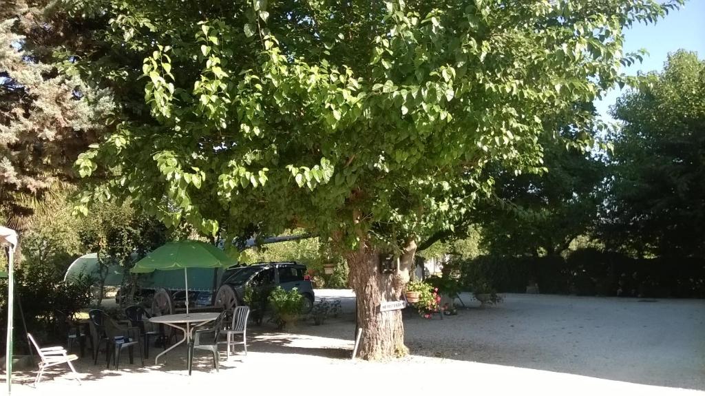 Zahrada ubytování Agriturismo La Cantina VIA CAMPIGLIONE DI ASSISI