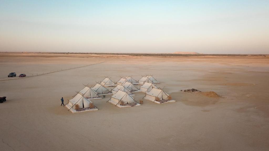 Zvířata v luxury tent nebo okolí