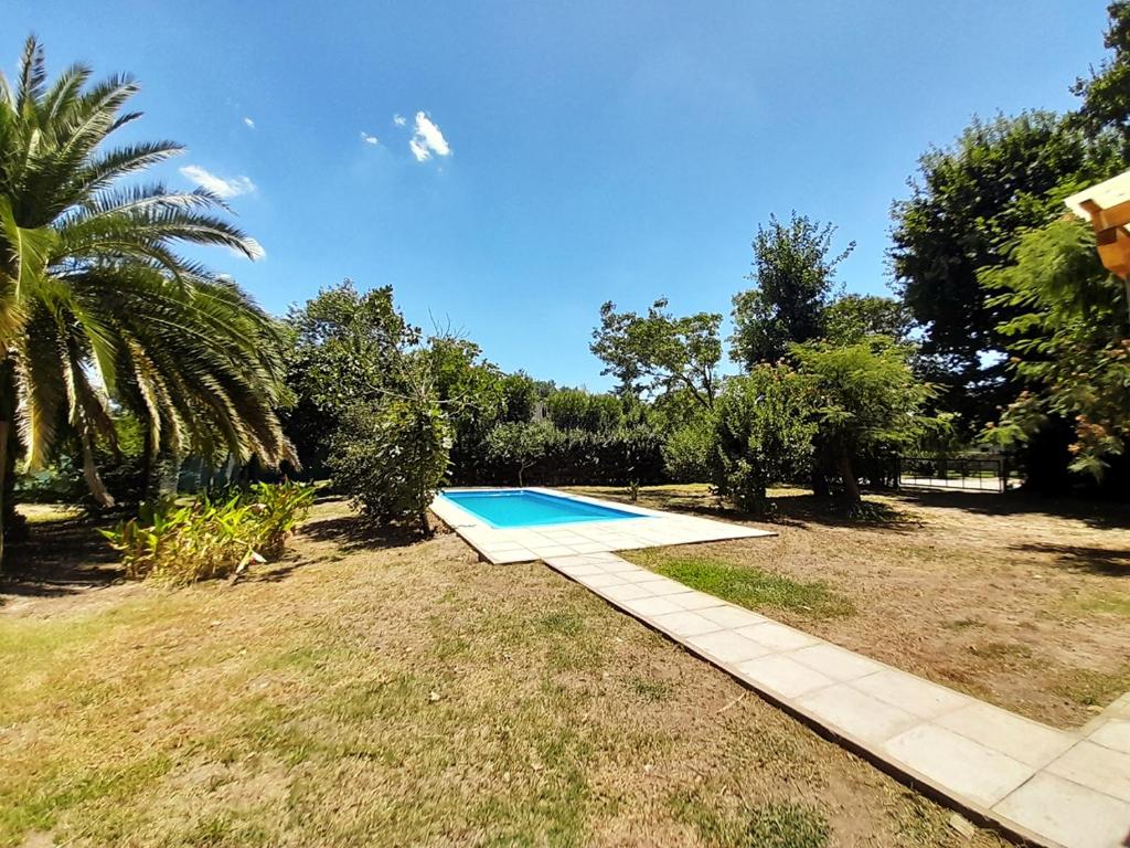 una piscina en un patio con una palmera en Los Robles en Mercedes