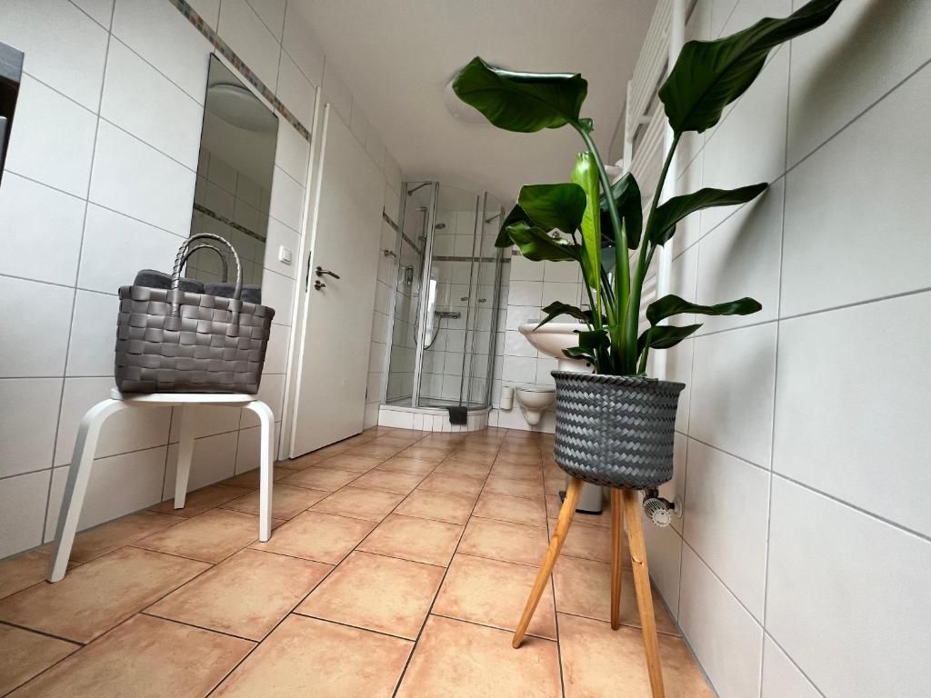 Altstadtpension am Dom - 10