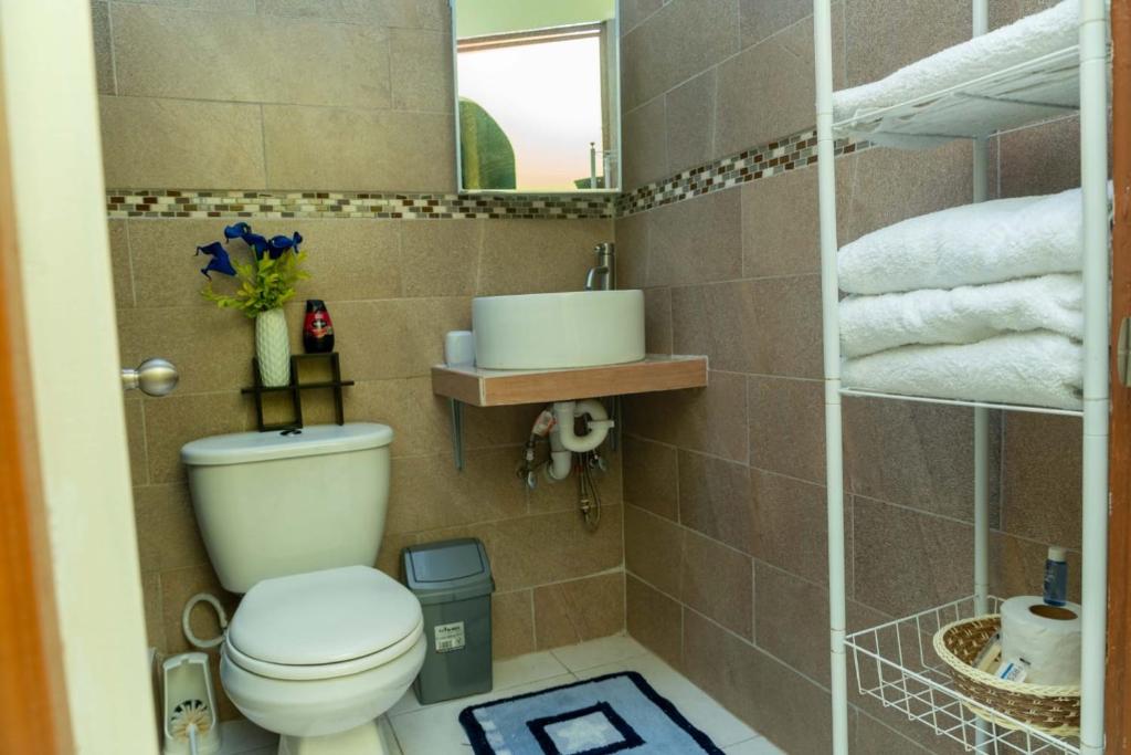 a bathroom with a toilet and a mirror and towels at Bougainvillea Apartments in Castries