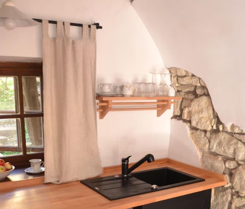 Kuchyň nebo kuchyňský kout v ubytování Vejminek Hynčina