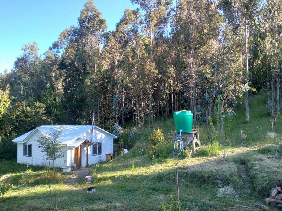 a small white house in the middle of a field at Donde La Euli. in Pitrufquén