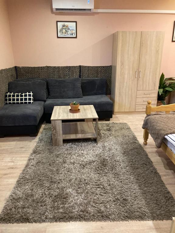 Posezení v ubytování Green Lake Airport Apartments
