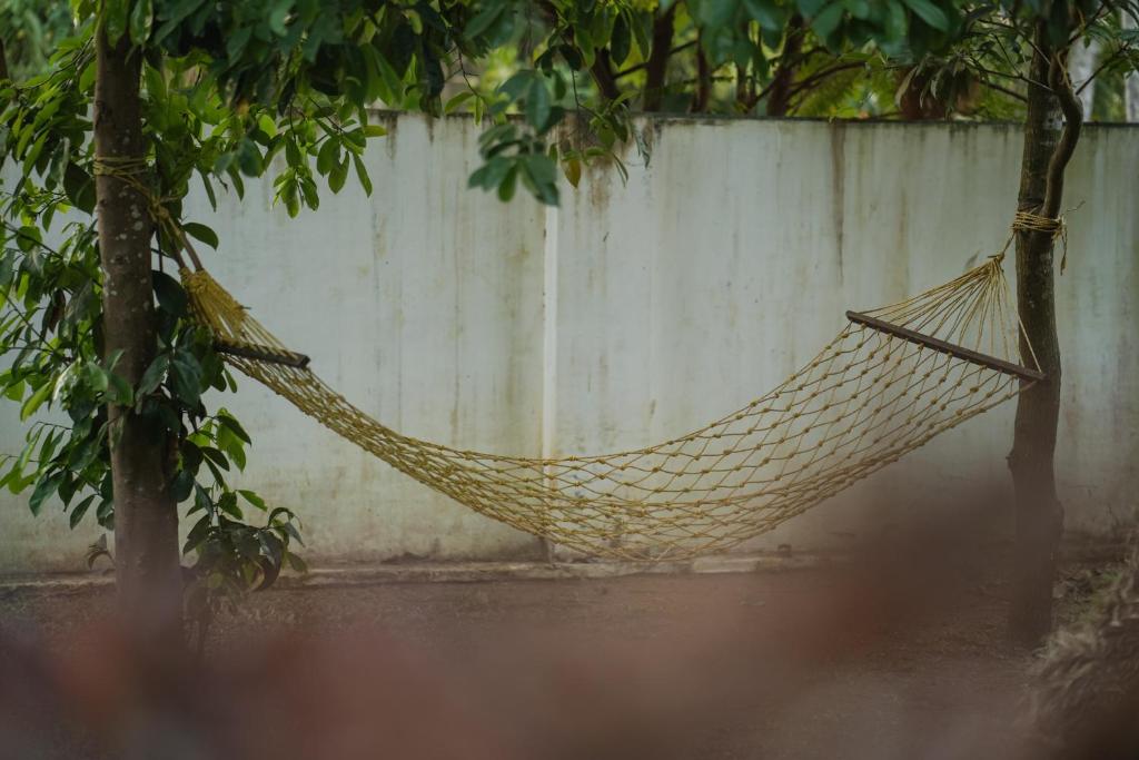 Fotografie z fotogalerie ubytování Marari Bobans villa v destinaci Mararikulam