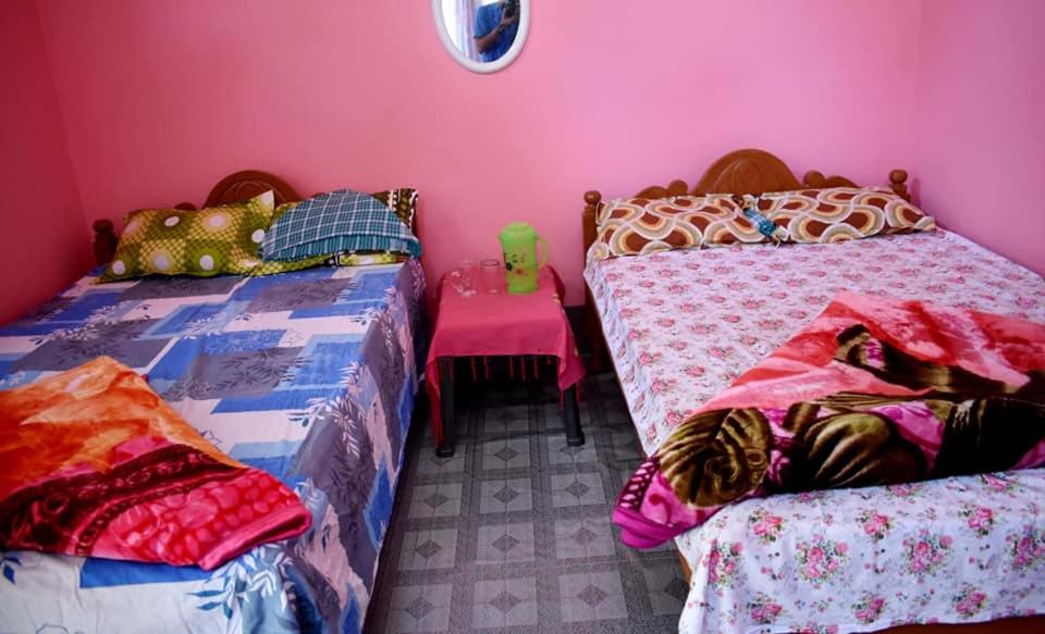 Jyoti GaonにあるMANAS RAY HOMESTAYのピンクの壁のベッドルーム1室(ベッド2台付)