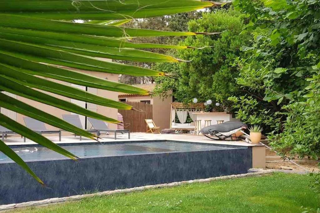a swimming pool in a garden with a palm leaf at Un paradis avec piscine au cœur du village in Cassis