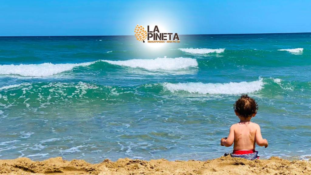 un niño pequeño sentado en la playa mirando al océano en Agricampeggio La Pineta, en Lesina