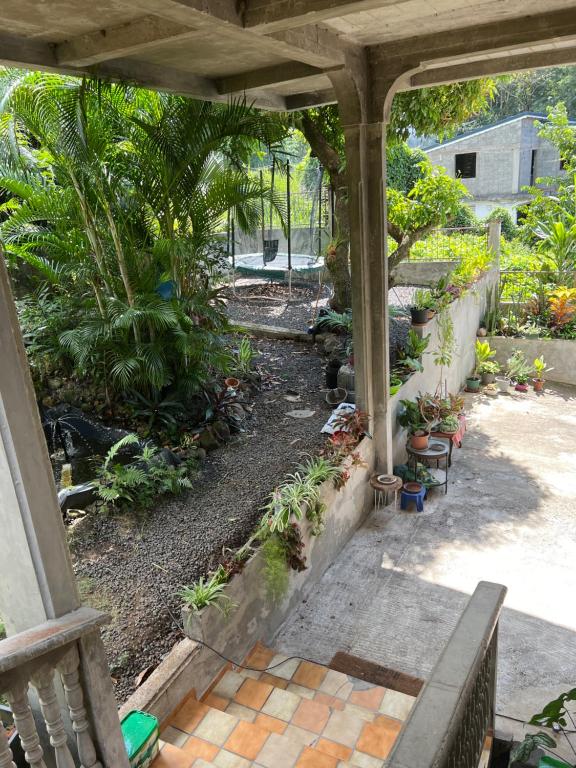 un patio al aire libre con un banco y plantas en Charmante maison, en Deshaies