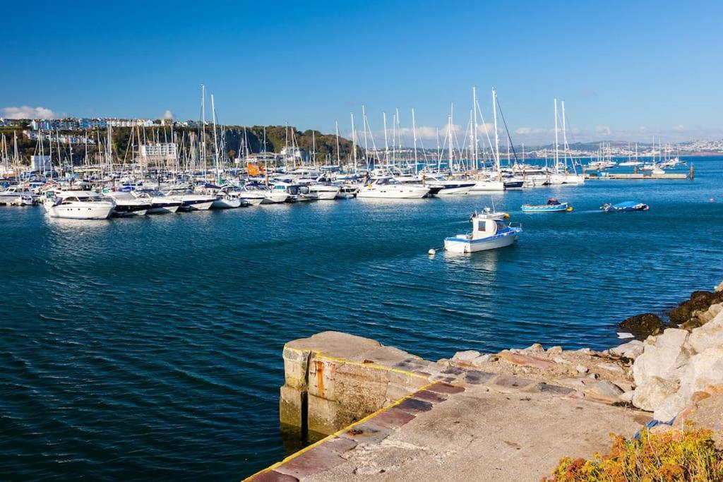 a harbor filled with lots of boats in the water at Brixham Ground Floor Apartment in Torquay