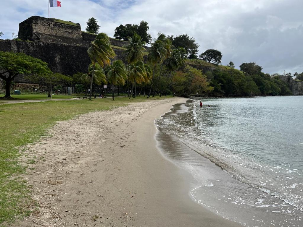 une plage avec des palmiers et un château en arrière-plan dans l'établissement Republique Lounge, à Fort-de-France