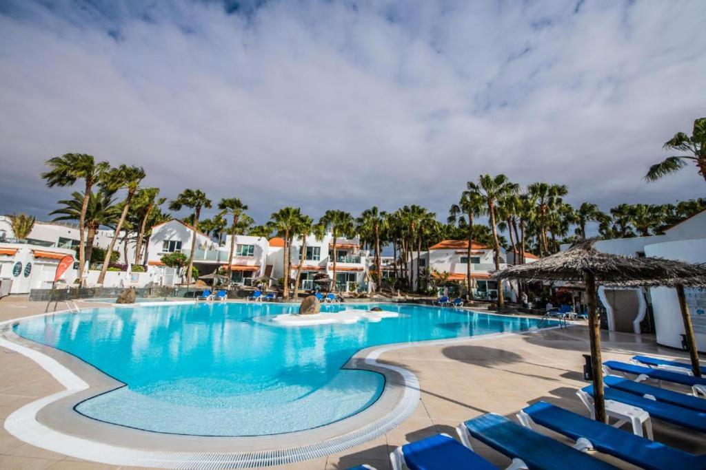 una gran piscina con sillas azules y palmeras en SEA VIEW APARTMENTS, en Costa Calma