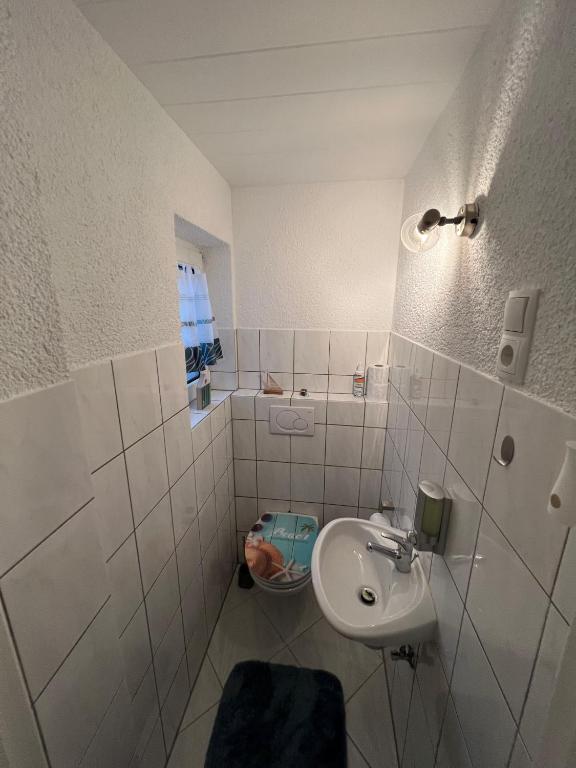 ein kleines Bad mit einem Waschbecken und einem WC in der Unterkunft Ferienhaus am Bach Koblenz in Koblenz