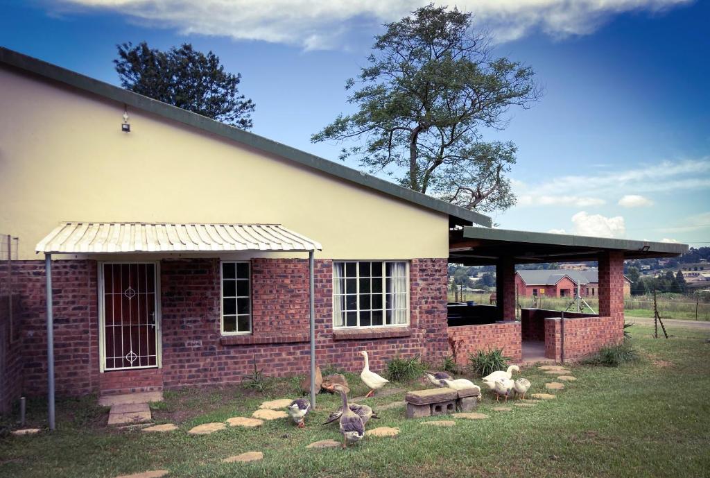 a group of birds standing outside of a building at The Blow-Inn Farmer, Sunrise Cottage in Howick