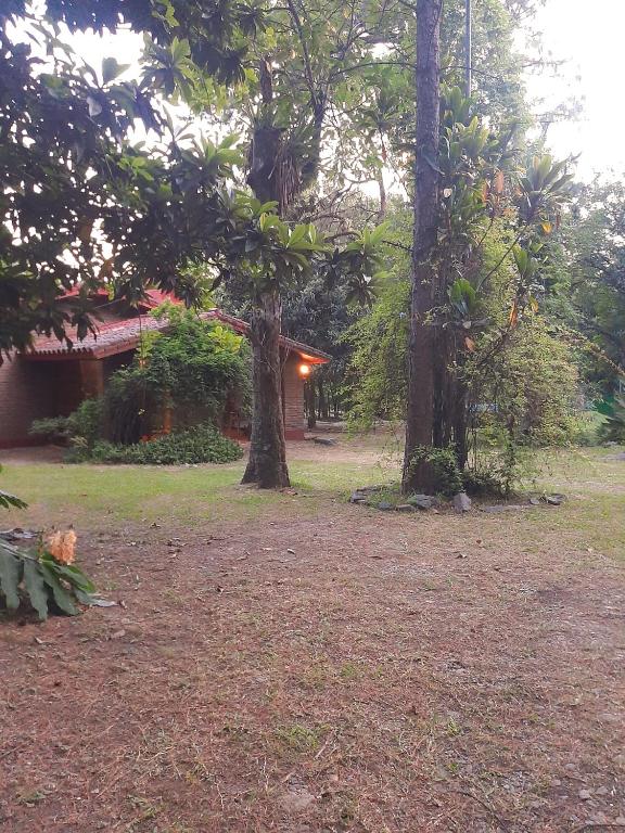 un patio con dos árboles frente a una casa en La Manquel - Casa y Yungas en Yerba Buena