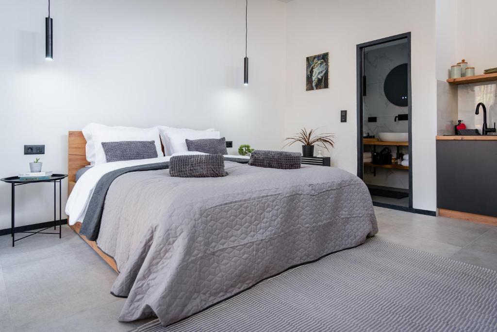 Urban city apartment - One-Bedroom Apartment