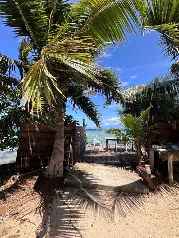 a palm tree on a sandy beach with the ocean at Teraupoo Lodge Maison in Afareaitu