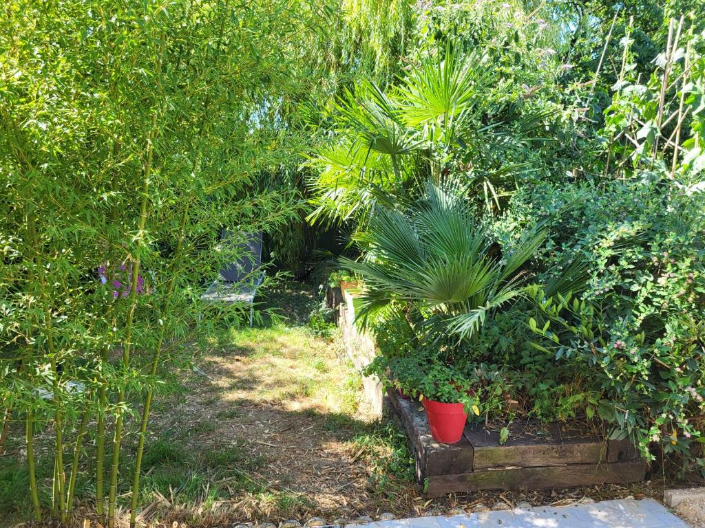 a garden with plants in pots and trees at GITE VENITIA T2 in Aussonne