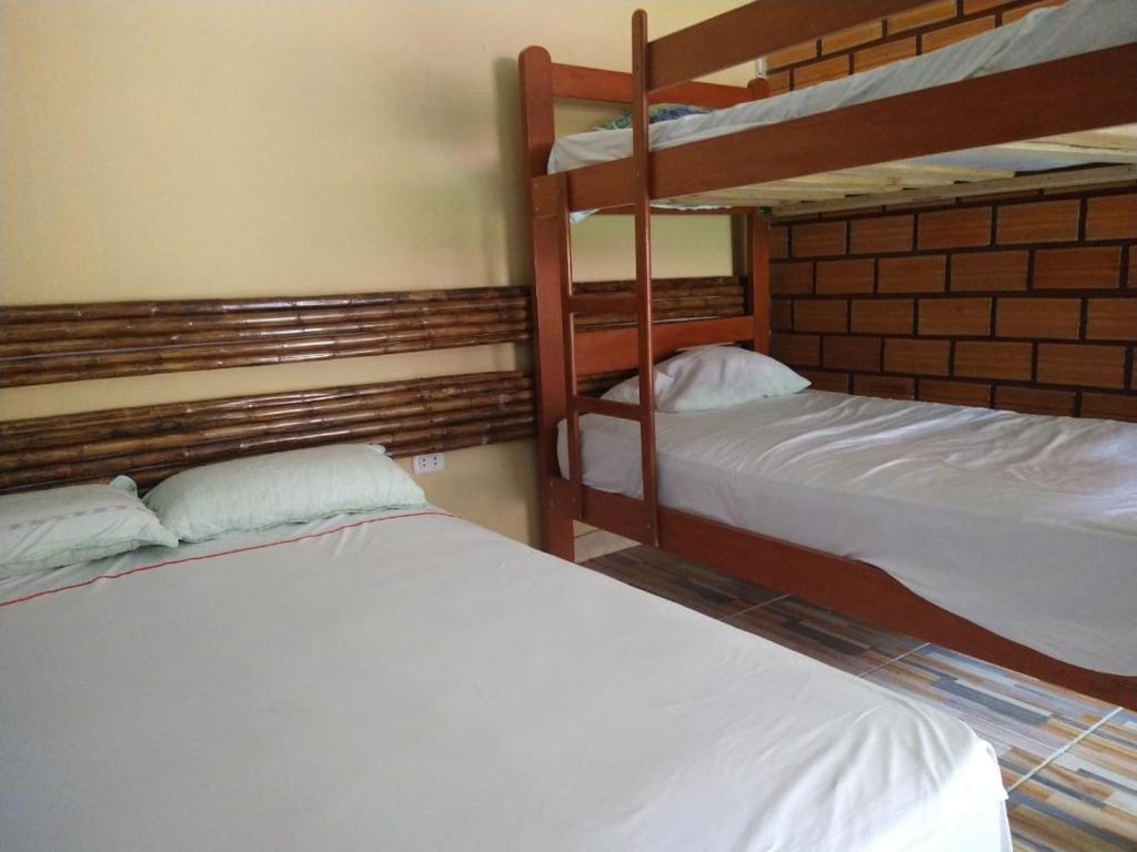 El Tuity - Twin Room