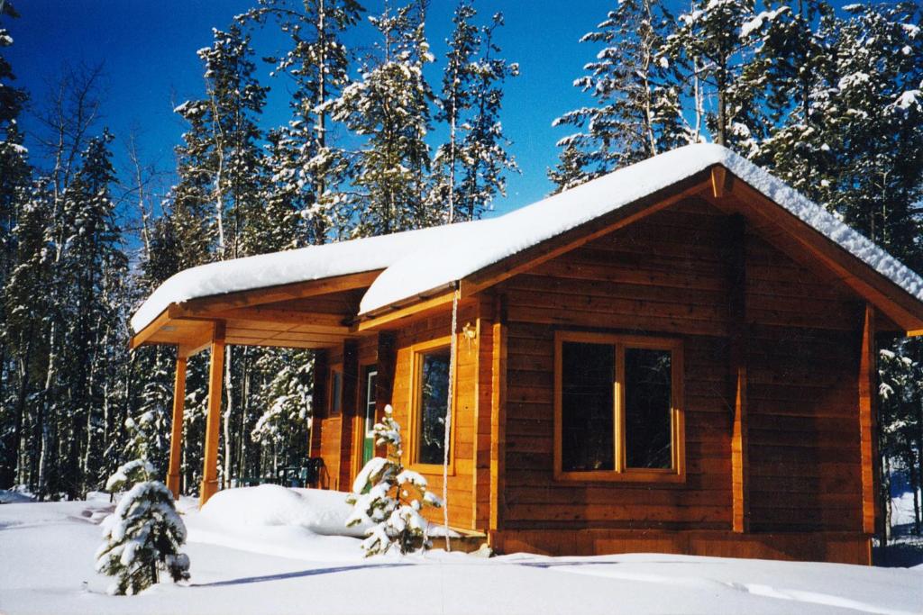 Mica Mountain Lodge & Log Cabins v zimě