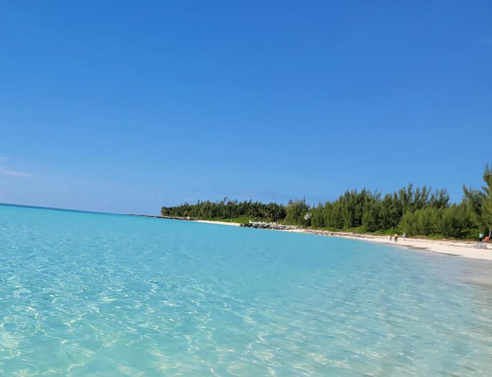 uma vista para a praia a partir da água em Gated waterfront condo with boat dock and view em Freeport