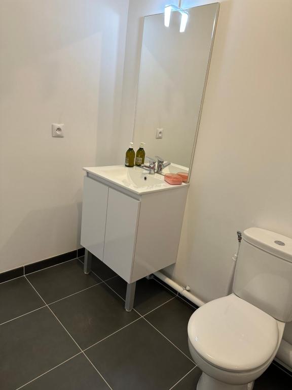 a bathroom with a toilet and a sink and a mirror at Appartement - Tournan en Brie a 20min de Disneyland in Tournan-en-Brie