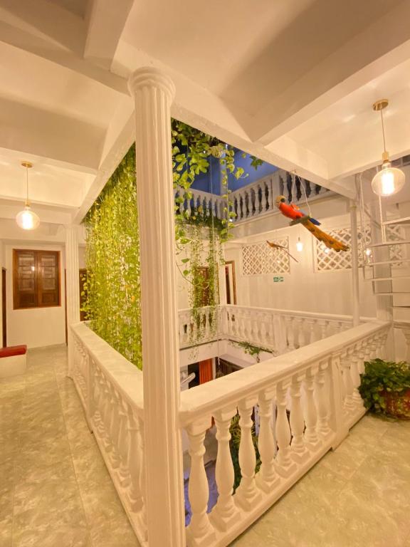 Fotografie z fotogalerie ubytování Patio de Getsemani v destinaci Cartagena