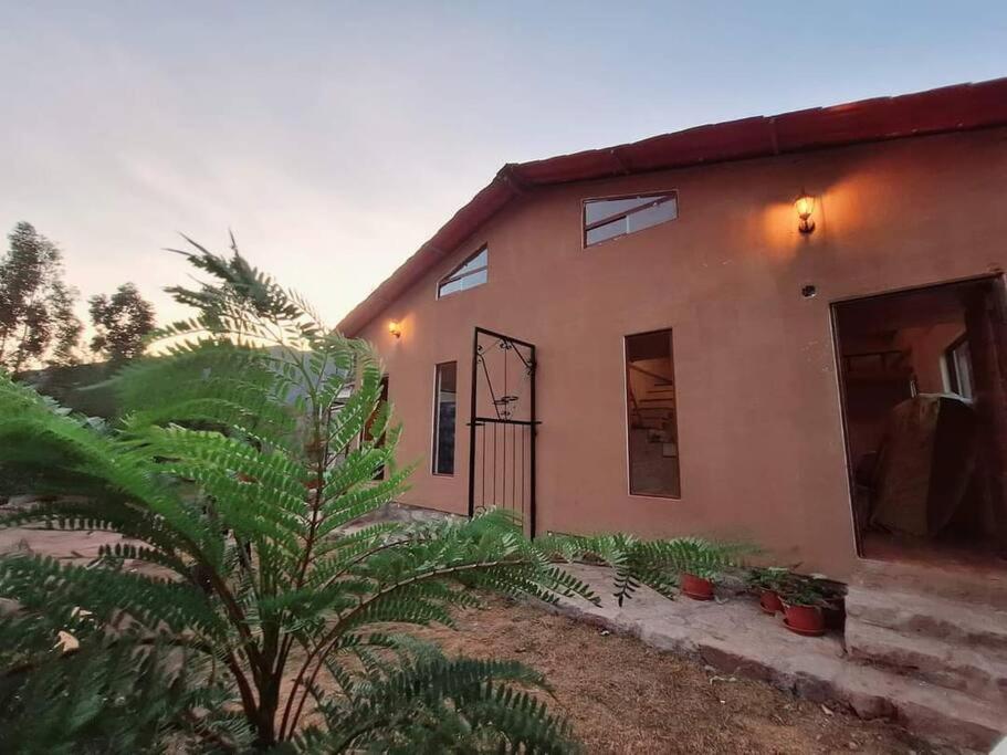 ein Haus mit einer Palme davor in der Unterkunft Casita Mayuc in Huaran