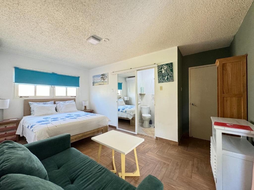 Casalina Garden 2 blocks to Palm Beach & Kitesurfing school - Studio
