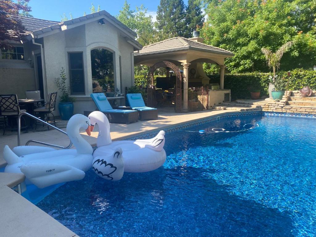 dos cisnes en el agua en una piscina en Tuscany Dorado Resort en Cameron Park