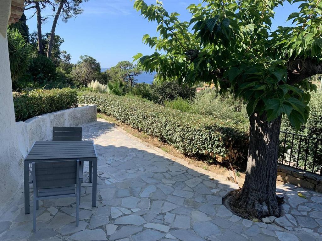 une table et une chaise à côté d'un arbre dans l'établissement Villa T2 climatisée avec jardin, proche plage, parking et animaux acceptés - FR-1-768-65, aux Issambres